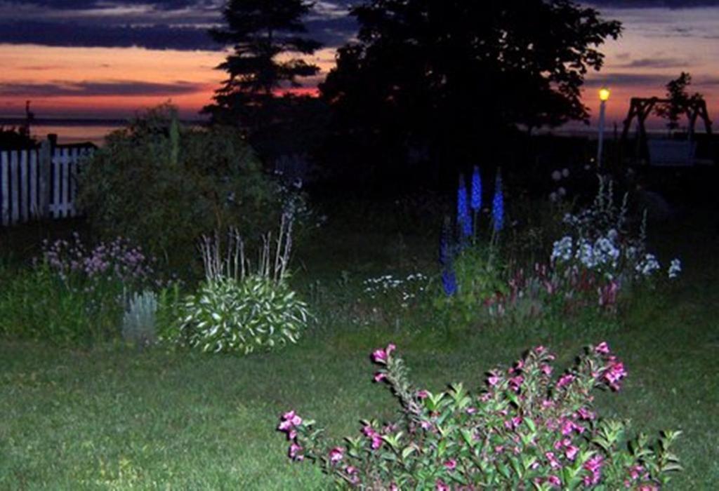 Gite La Ptite Falaise Hebergement Touristique Sainte Anne-des-Chênes Exteriör bild
