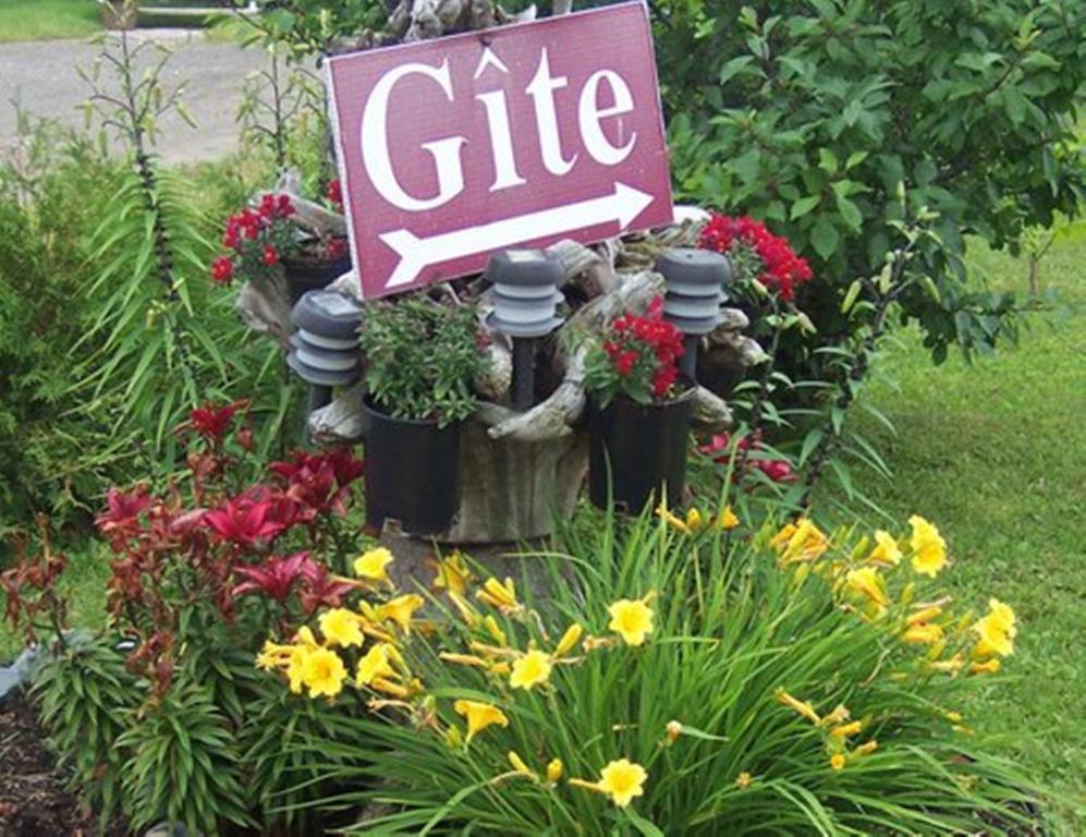 Gite La Ptite Falaise Hebergement Touristique Sainte Anne-des-Chênes Exteriör bild