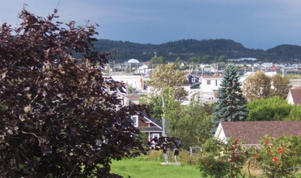 Gite La Ptite Falaise Hebergement Touristique Sainte Anne-des-Chênes Exteriör bild