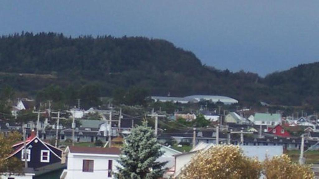 Gite La Ptite Falaise Hebergement Touristique Sainte Anne-des-Chênes Exteriör bild
