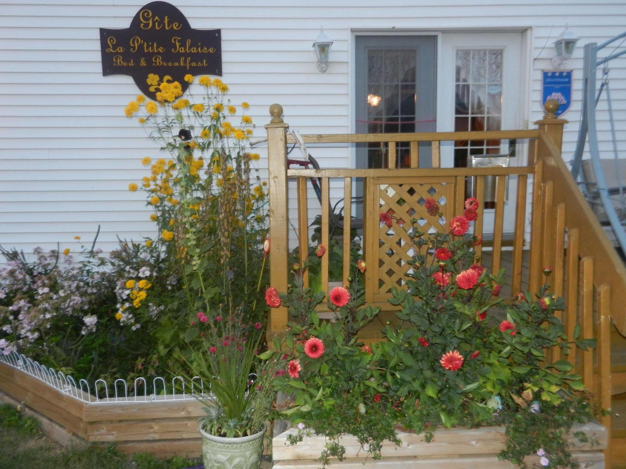 Gite La Ptite Falaise Hebergement Touristique Sainte Anne-des-Chênes Exteriör bild